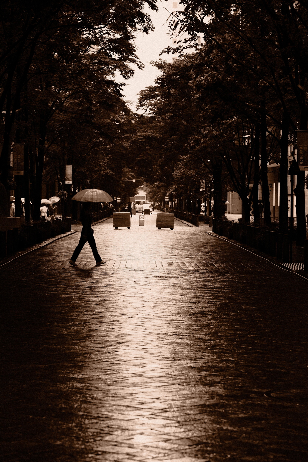 今日はセピアで11時