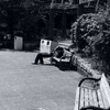 今日は隅田公園で10時