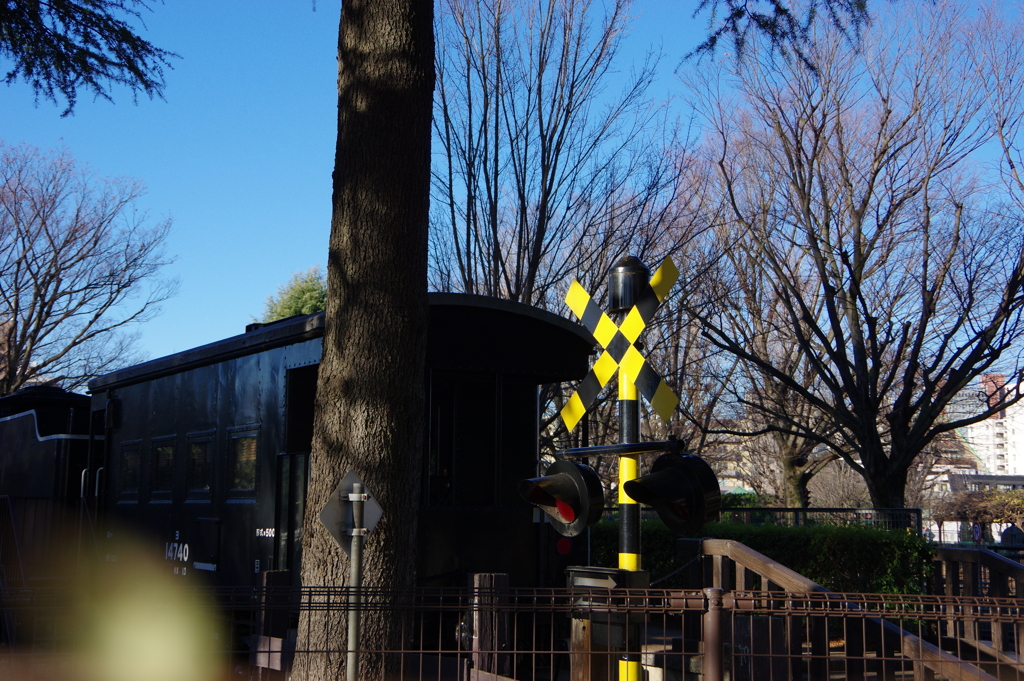 今日は世田谷公園で8時⑤