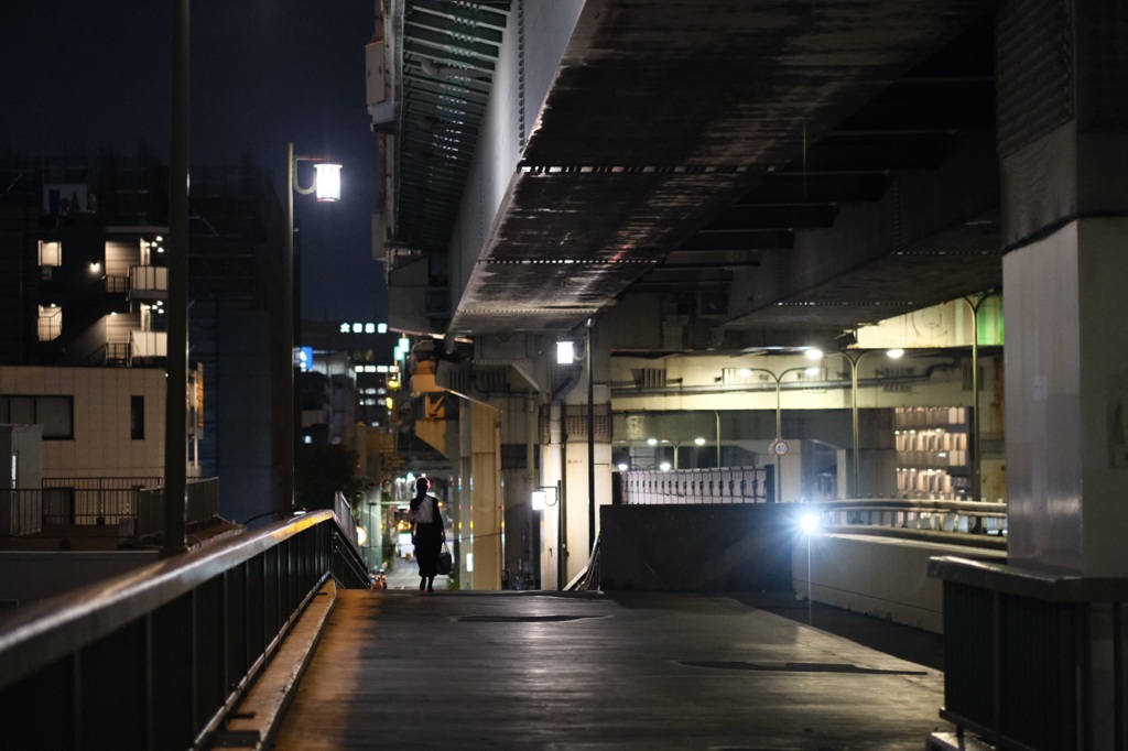今日は隅田川大橋で9時