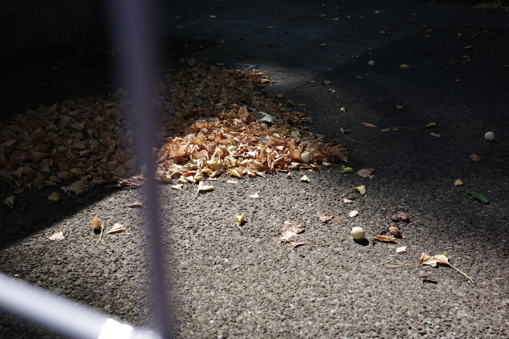 今日は砂町で9時