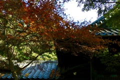 今日は三囲神社で11時
