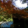 今日は三囲神社で11時