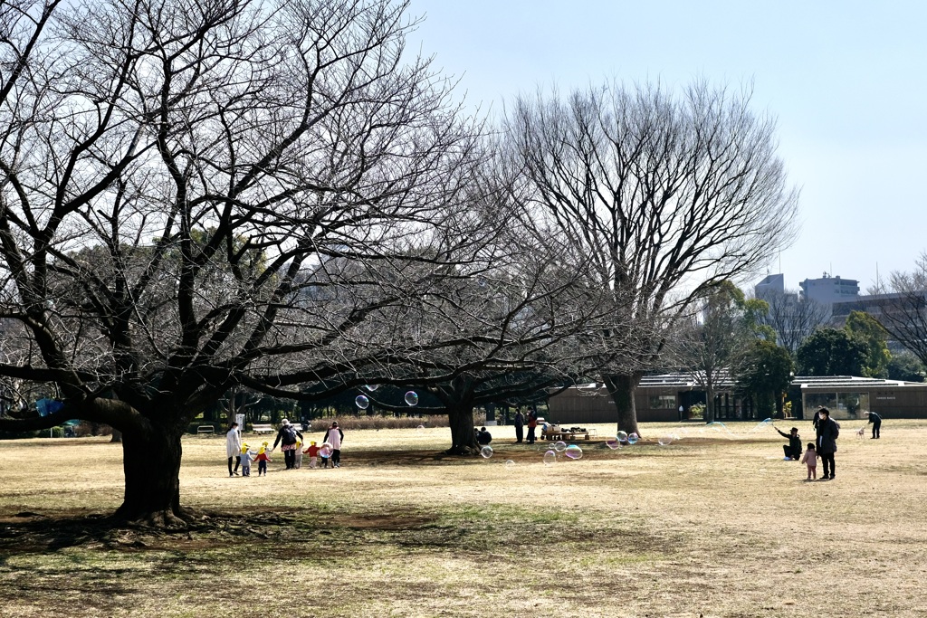 今日は木場公園で11時