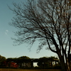 今日は東大島で7時