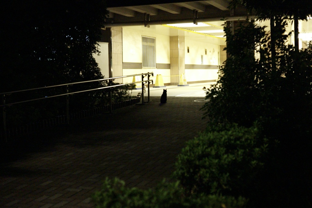 今日は立花で8時