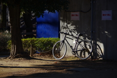 今日は世田谷公園で8時⑥