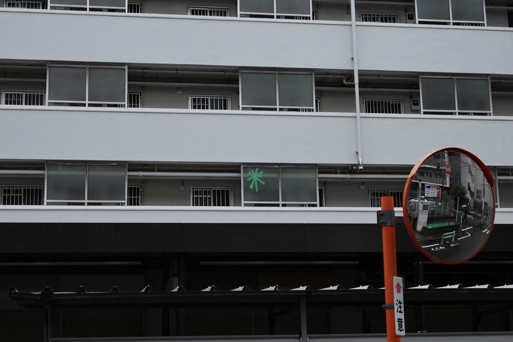 今日は大島で10時