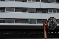 今日は大島で10時