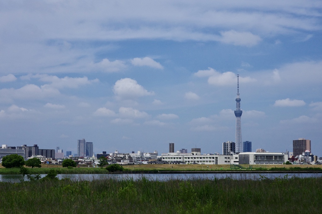 今日は荒川河川敷で9時