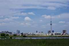 今日は荒川河川敷で9時