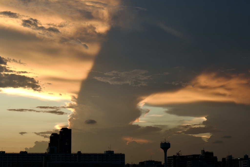 今日は大島で4時