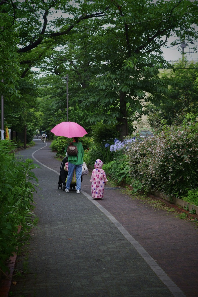 今日は大島で3時