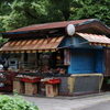 今日は日比谷公園で11時