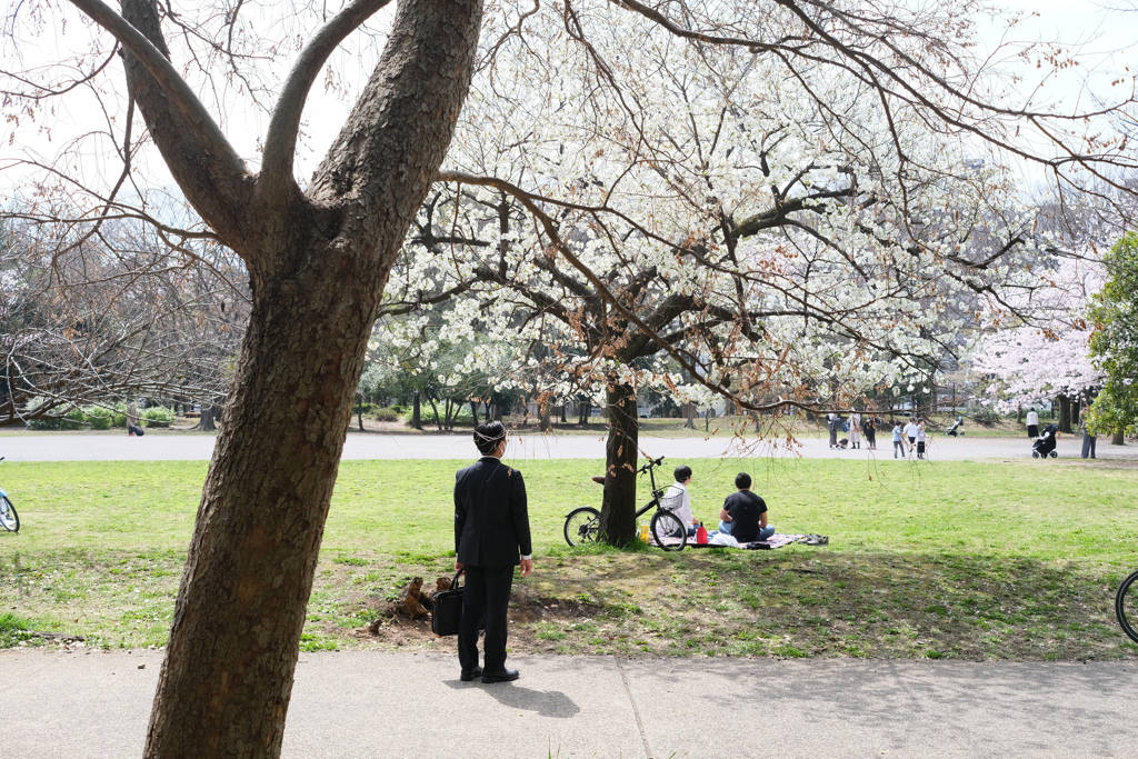 今日は清澄公園で11時