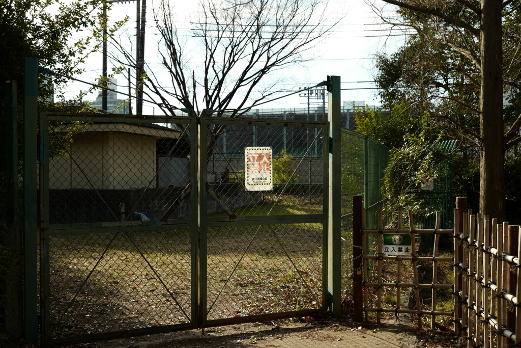 今日は猿江恩賜公園で8時②
