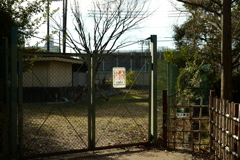 今日は猿江恩賜公園で8時②