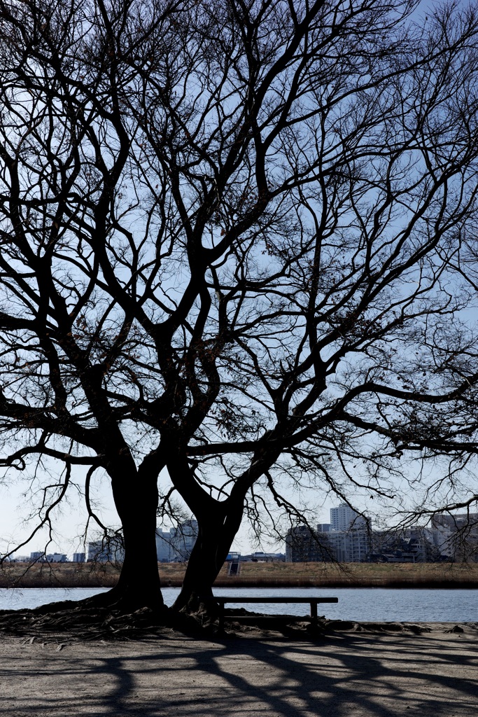今日は荒川河川敷で1時