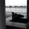 今日は葛西臨海公園で10時
