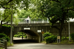 今日は隅田公園で1時