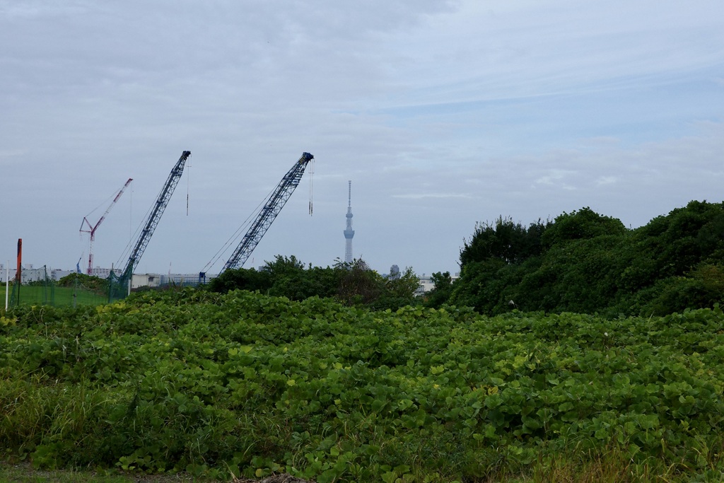 今日は新木場で10時