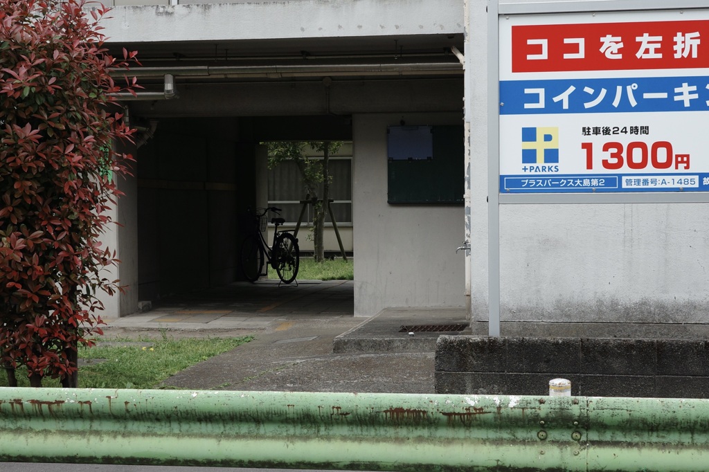 今日は大島で3時