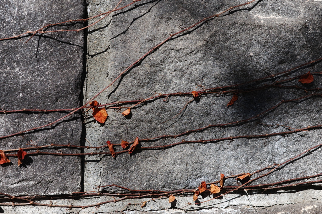 今日は赤坂で12時