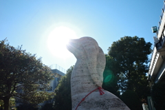 今日は向島でおめでとうございます。