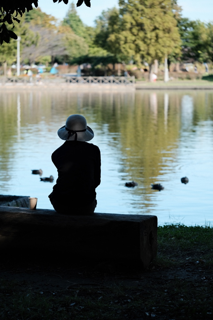 今日は水元公園で2時