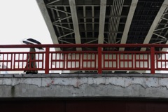 今日は亀戸で10時