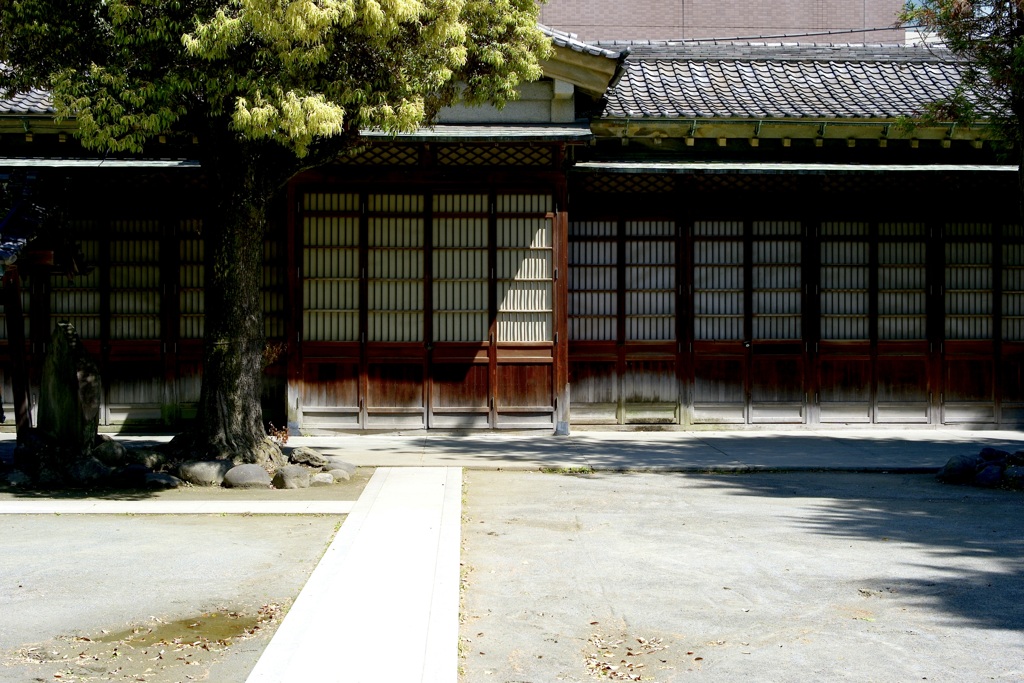 今日は牛嶋神社で1時