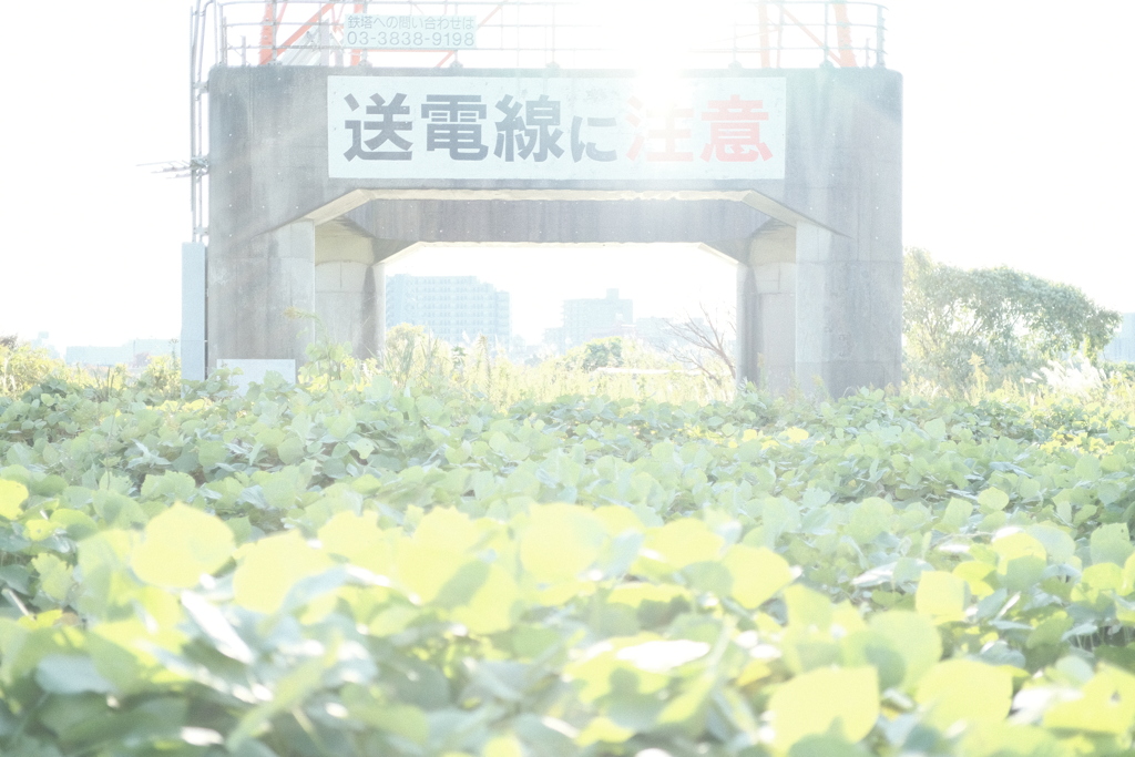 今日は荒川河川敷で3時