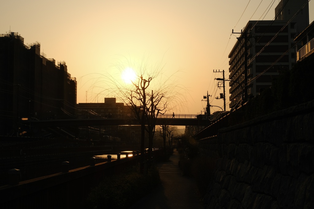 今日は小名木川で5時
