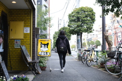 今日は京島で12時