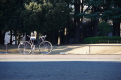 今日は世田谷公園で8時③