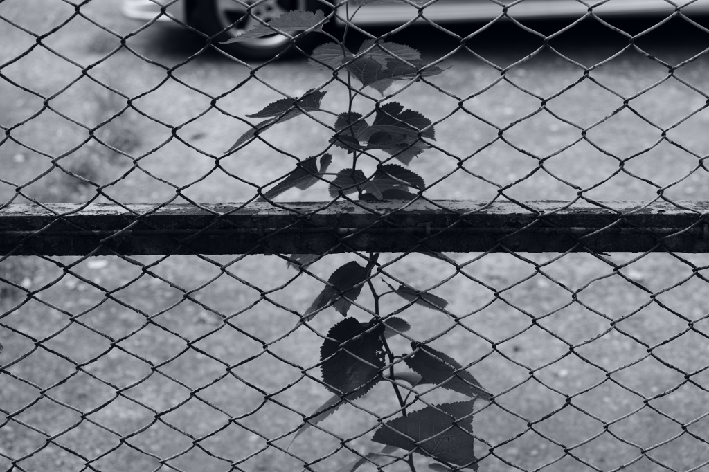 今日は浅草橋で1時