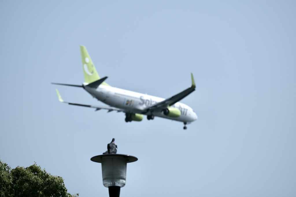 今日は城南島で1時