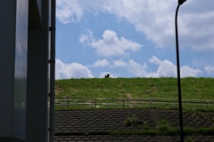 今日は四つ木で12時