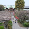 今日は亀戸天神で3時