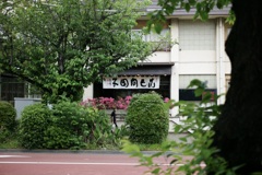 今日は向島で10時
