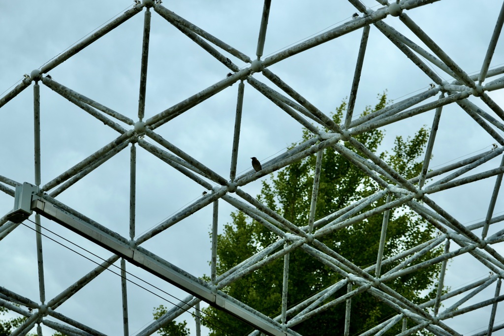 今日はお花茶屋で1時