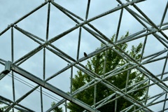 今日はお花茶屋で1時