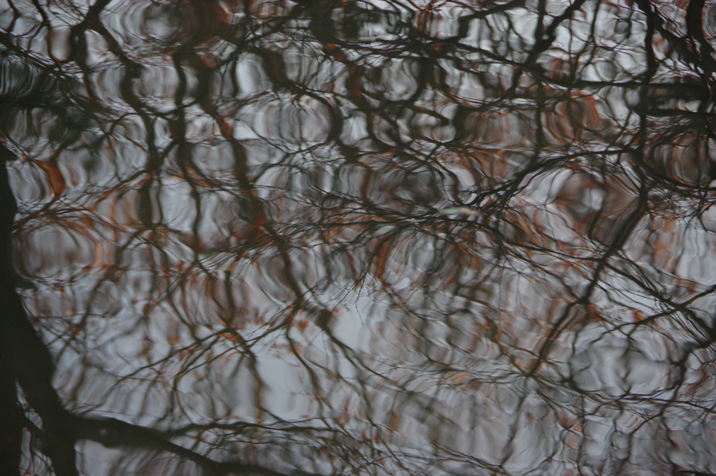 今日は猿江恩賜公園で7時