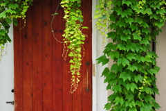 今日は蔵前で3時