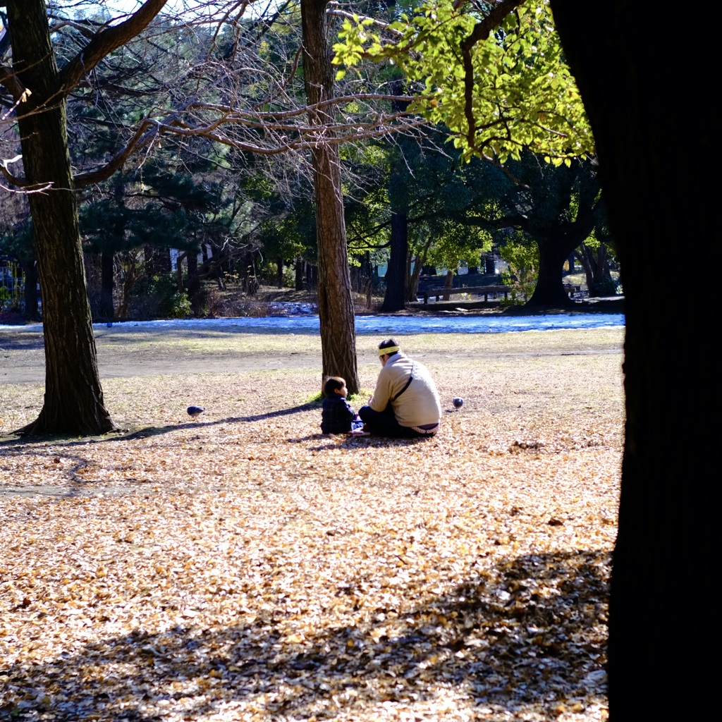 今日は清澄公園で1時