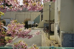 今日は東陽で10時