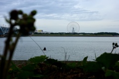 今日は若洲で11時