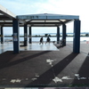 今日は葛西臨海公園で3時