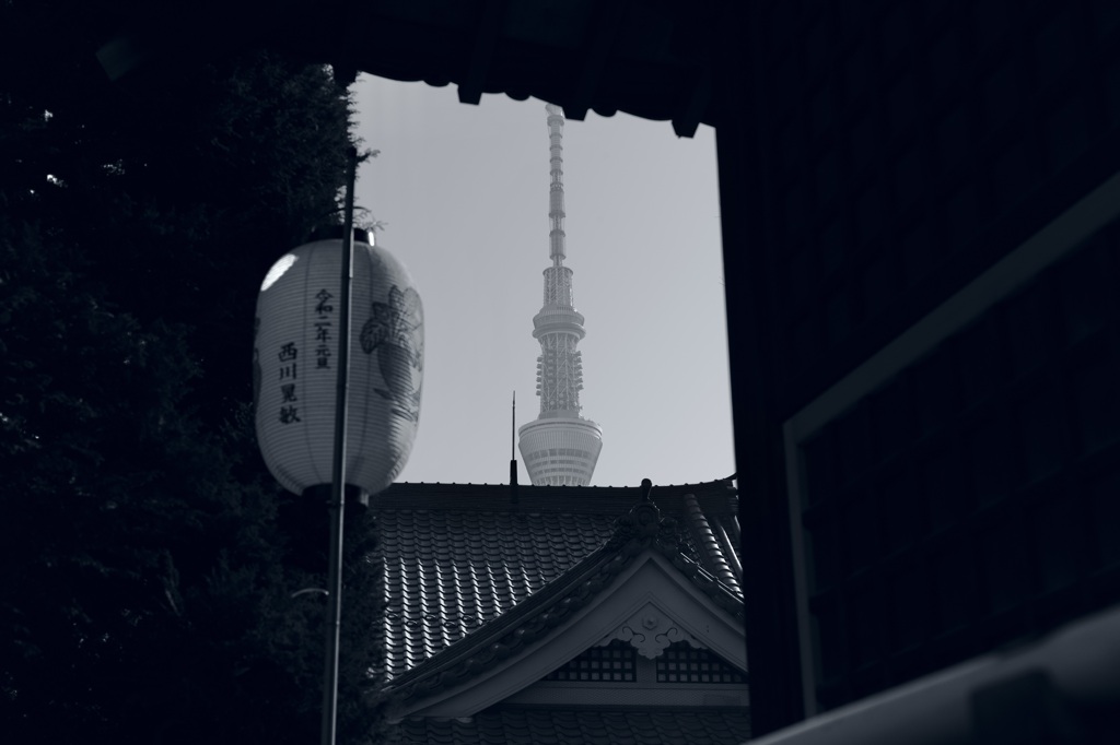 今日は待乳山聖天で12時①