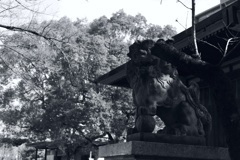 今日は香取神社で10時②